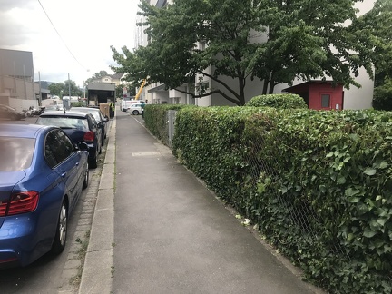 Sträucher Krausstraße nachher