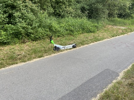 E-Scooter Auf Spazierweg in Ebelsberg 21062021